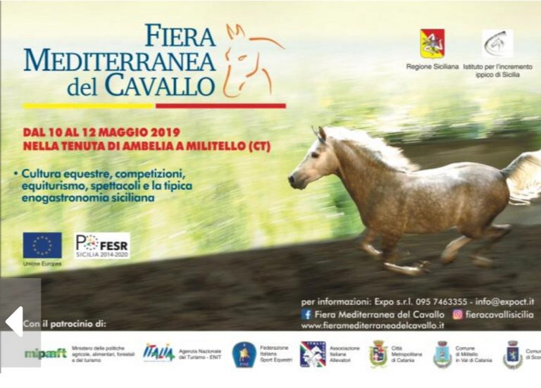 Fiera mediterranea del cavallo 2019