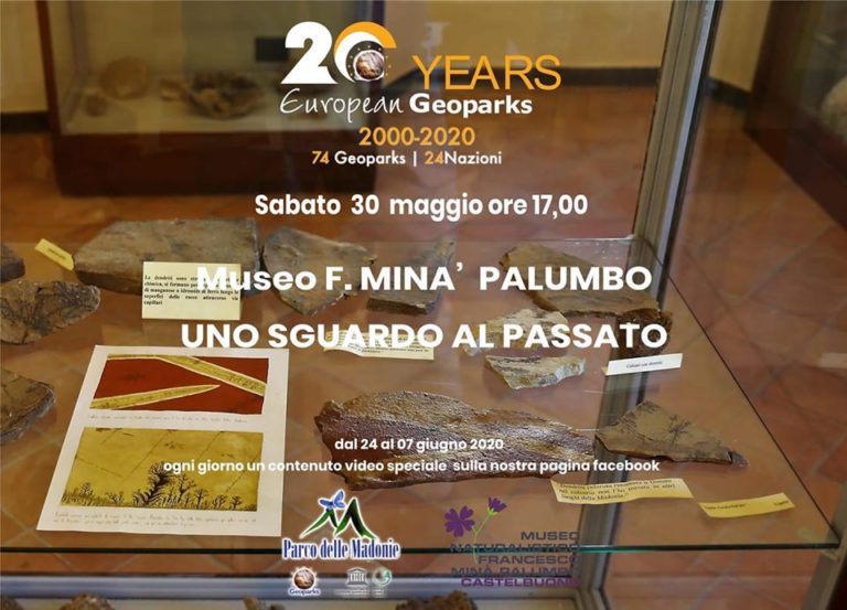 UNO SGUARDO AL PASSATO Museo F.Minà Palumbo