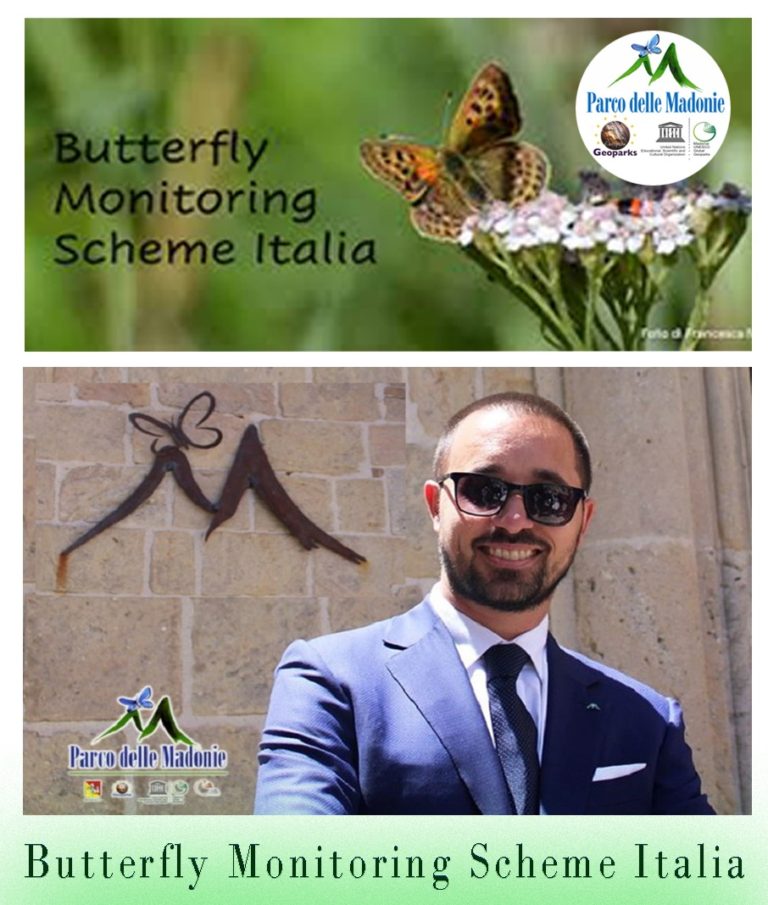 IN ESCLUSIVA PER LA PRIMA VOLTA IN SICILIA L’ENTE PARCO DELLE MADONIE HA OSPITATO IL 7° WORKSHOP NAZIONALE BUTTERFLY MONITORING SCHEME ITALIA INIZIA UNA COLLABORAZIONE SCIENTIFICA tra Ente Parco e Butterfly Monitoraggio Scheme per l’Italia meridionale.